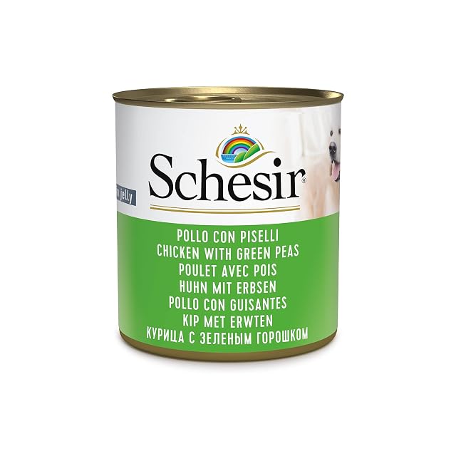 Schesir, Alimento Húmedo para Perros Adultos Sabor Pollo con Guisantes, Filetes En Suave Gelatina