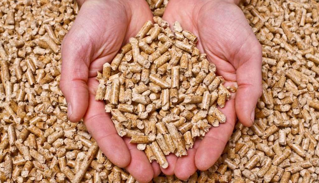 Kalor+ Estufa de Pellets 6 KW