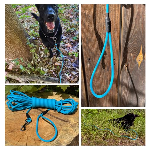 10m Schleppleine Hunde, Wasserfeste Hundeleine Rundleine mit Handschlaufe, Robuste Freilauf-Trainingsleine Cyan-Blau, bis 35kg