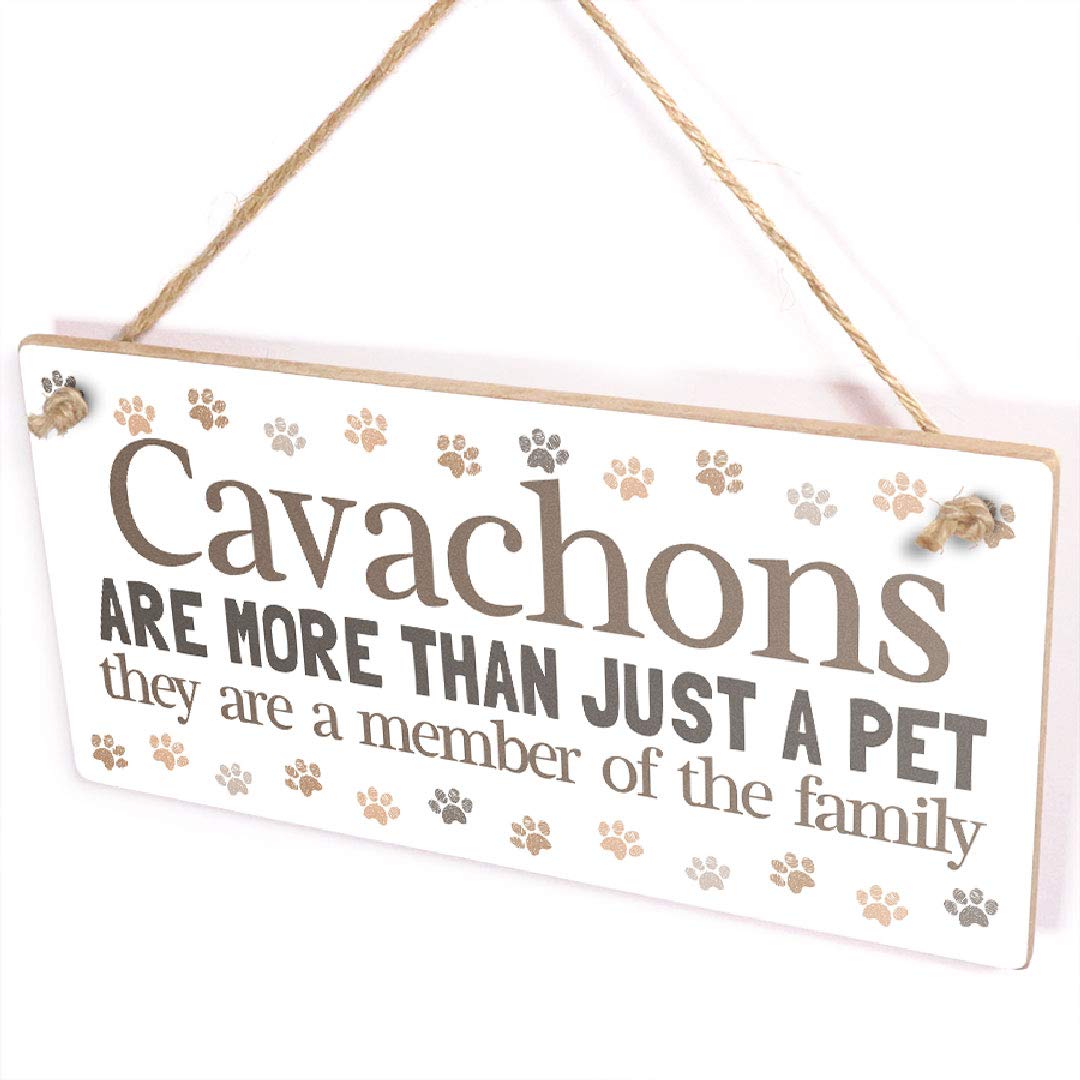 Button Hill Cottage Cavachons Are More Than Just A Pet They Are A Member Of The Family Sign - Adorable Cavachon Dog Gift