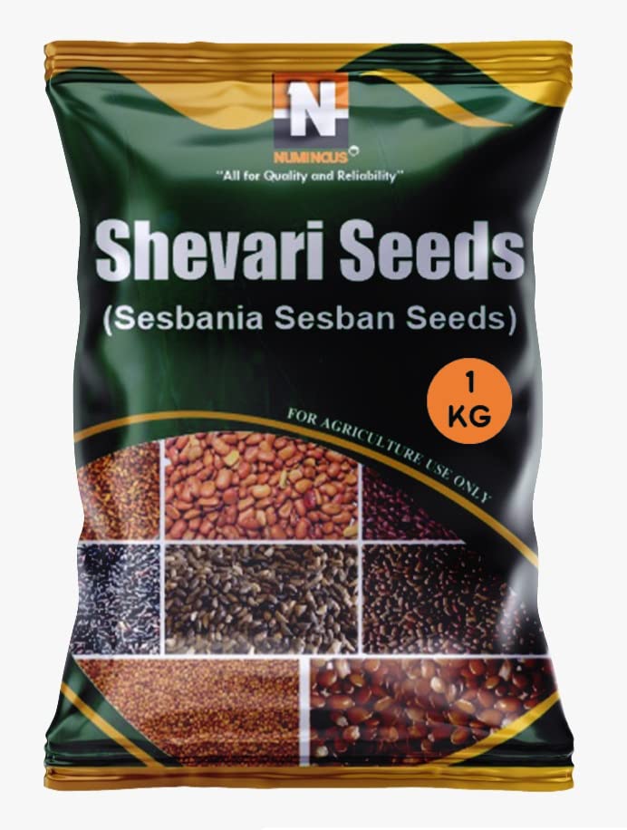 Numinous Shevri/Sesbania Sesban Fodder Tree Seeds - 1 KG (B098LQRHWQ) Amazon Price History, Amazon Price Tracker
