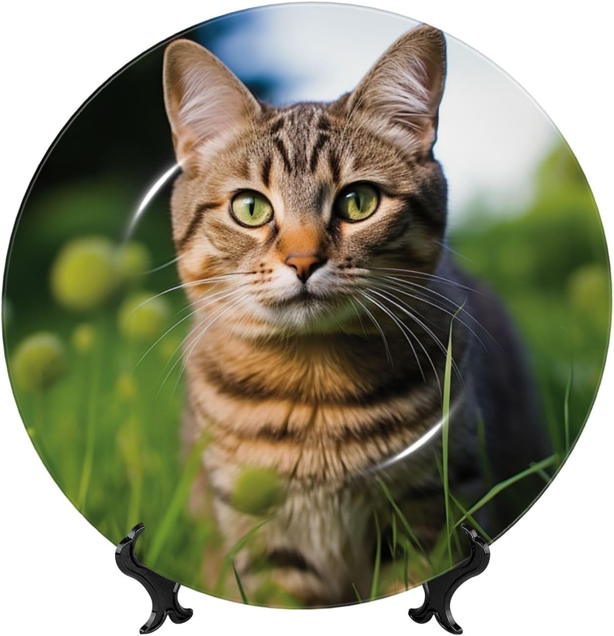 Decorative Plate 10in Dessert Plate Ornament Ceramic Plates with Display A tabby cat on the grass Bone China Decorative Plat Stand Hanging Porcelain Plate for Home Wall Decor