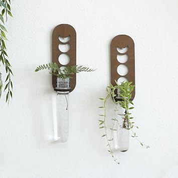 Artilady 2 Pack Plant Propagation Station Wall Hanging Wooden Moon Phase Plant Terrarium for Hydroponics Home Office Decor Test Tube Propagate Air Plant Cutting Holder