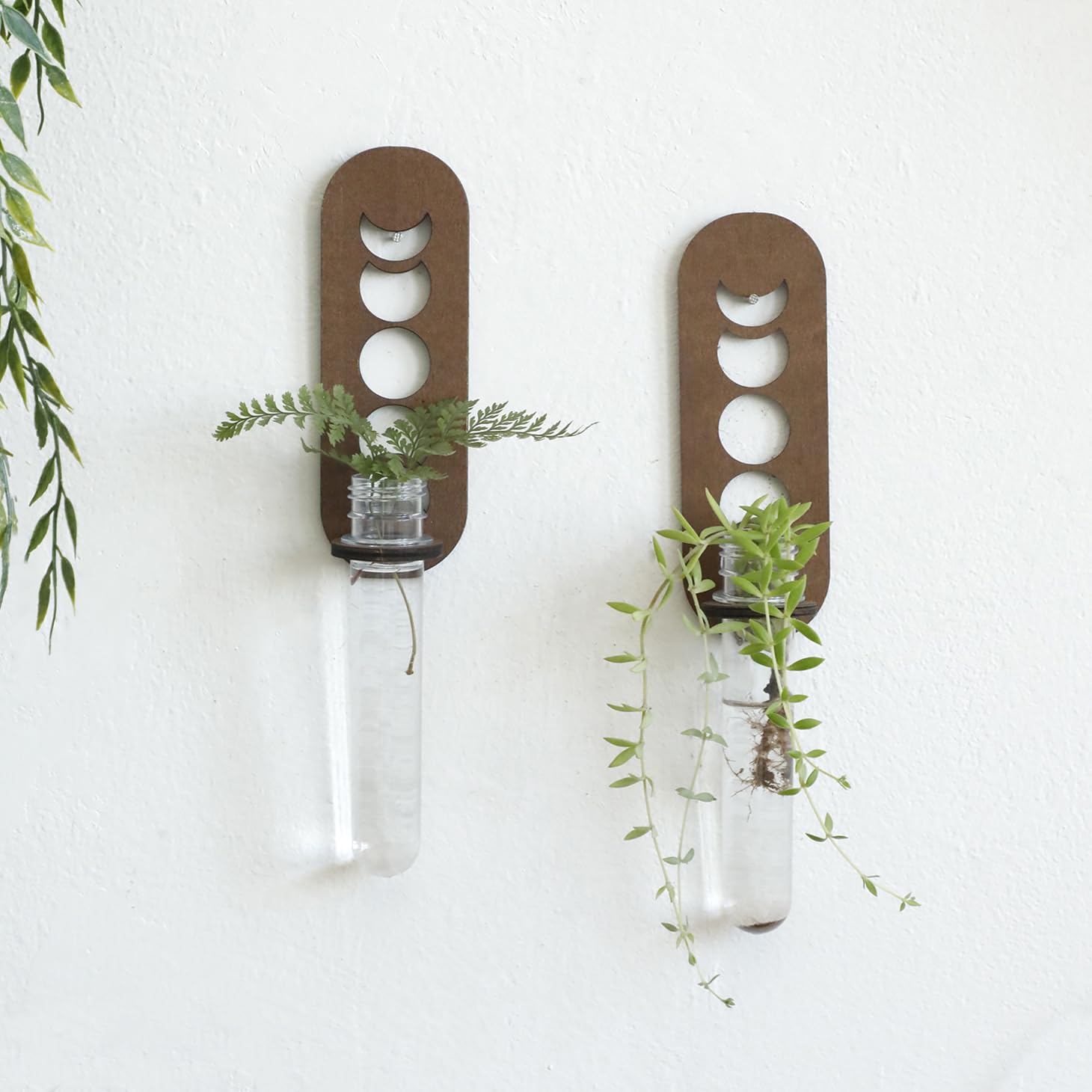 Amazon.com: Artilady 2 Pack Plant Propagation Station Wall Hanging Wooden  Moon Phase Plant Terrarium for Hydroponics Home Office Decor Test Tube Propagate  Air Plant Cutting Holder : Patio, Lawn & Garden