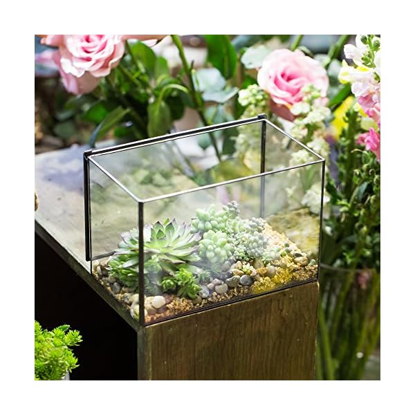 NCYP-Small-Rectangle-Glass-Terrarium-Planter-with-Lid-67-x-4-x-48-Inches-Clear-Black-Geometric-Flower-Pot-Box-for-Succulents-Air-Plant-Fern-Tabletop-Decoration-No-Plants NCYP-Small-Rectangle-Glass-Terrarium-Planter-with-Lid-67-x-4-x-48-Inches-Clear-Black-Geometric-Flower-Pot-Box-for-Succulents-Air-Plant-Fern-Tabletop-Decoration-No-Plants