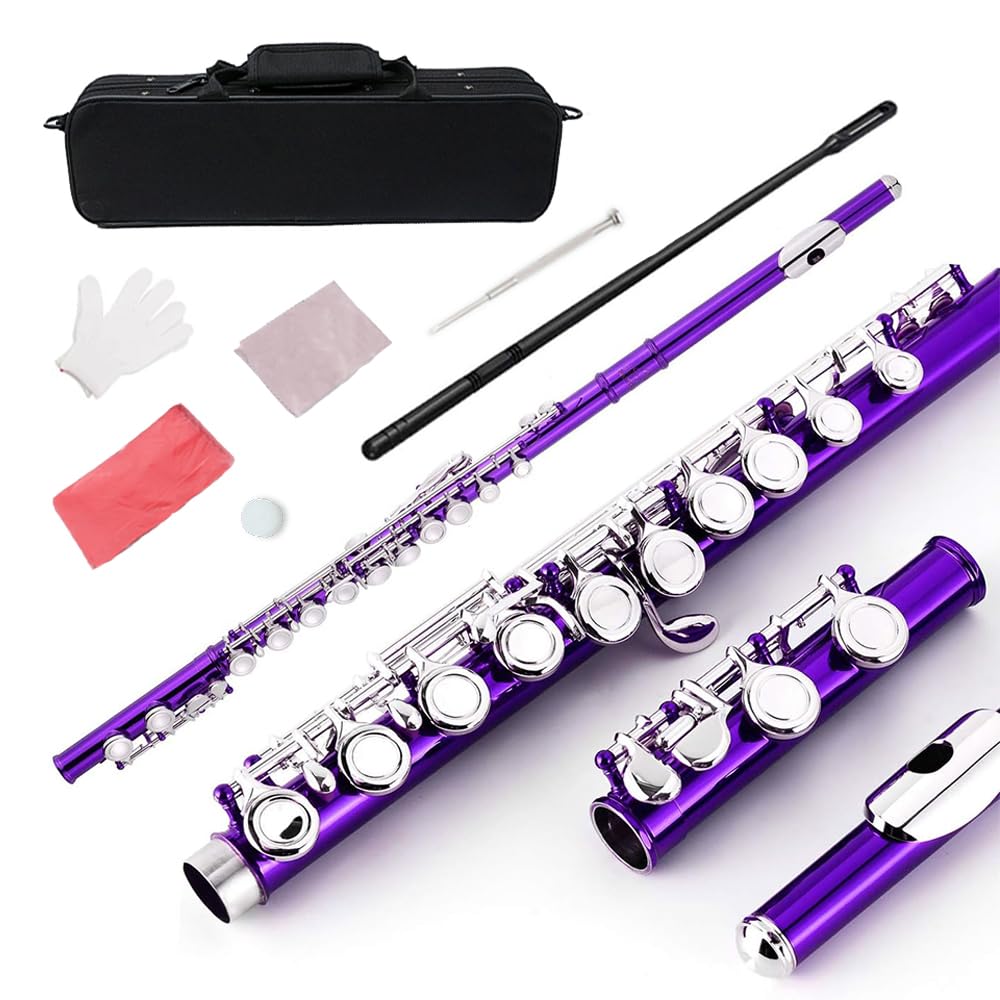16 Key Closed Hole C Flute - Student Flute for Beginners,Easy to Play with Durable Design, Includes Carrying Case, Cleaning Kit, Gloves, Perfect for Learning(Purple)