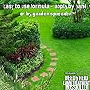 Pro-Kleen 4 in 1 Weed and Feed Lawn Treatment with Moss Killer - Greens Grass, Kills Weeds & Moss & Fertilises Grass - Apply from May-August - Covers up to 78m2 - (2.5kg)