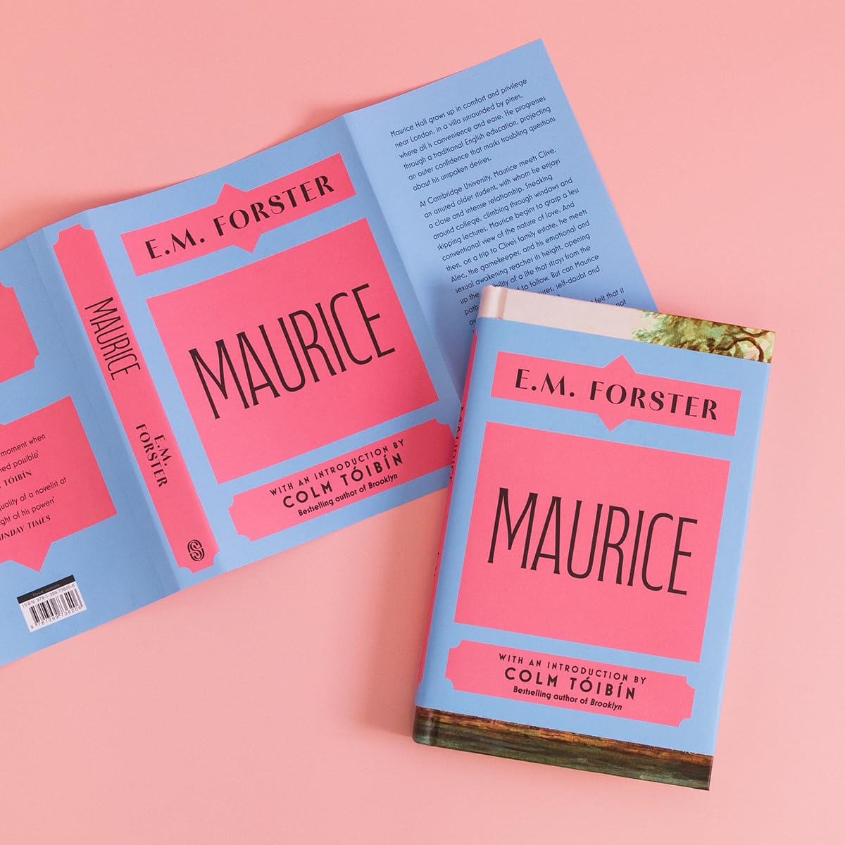 Maurice: With an introduction by Colm Tóibín, bestselling author of Brooklyn
