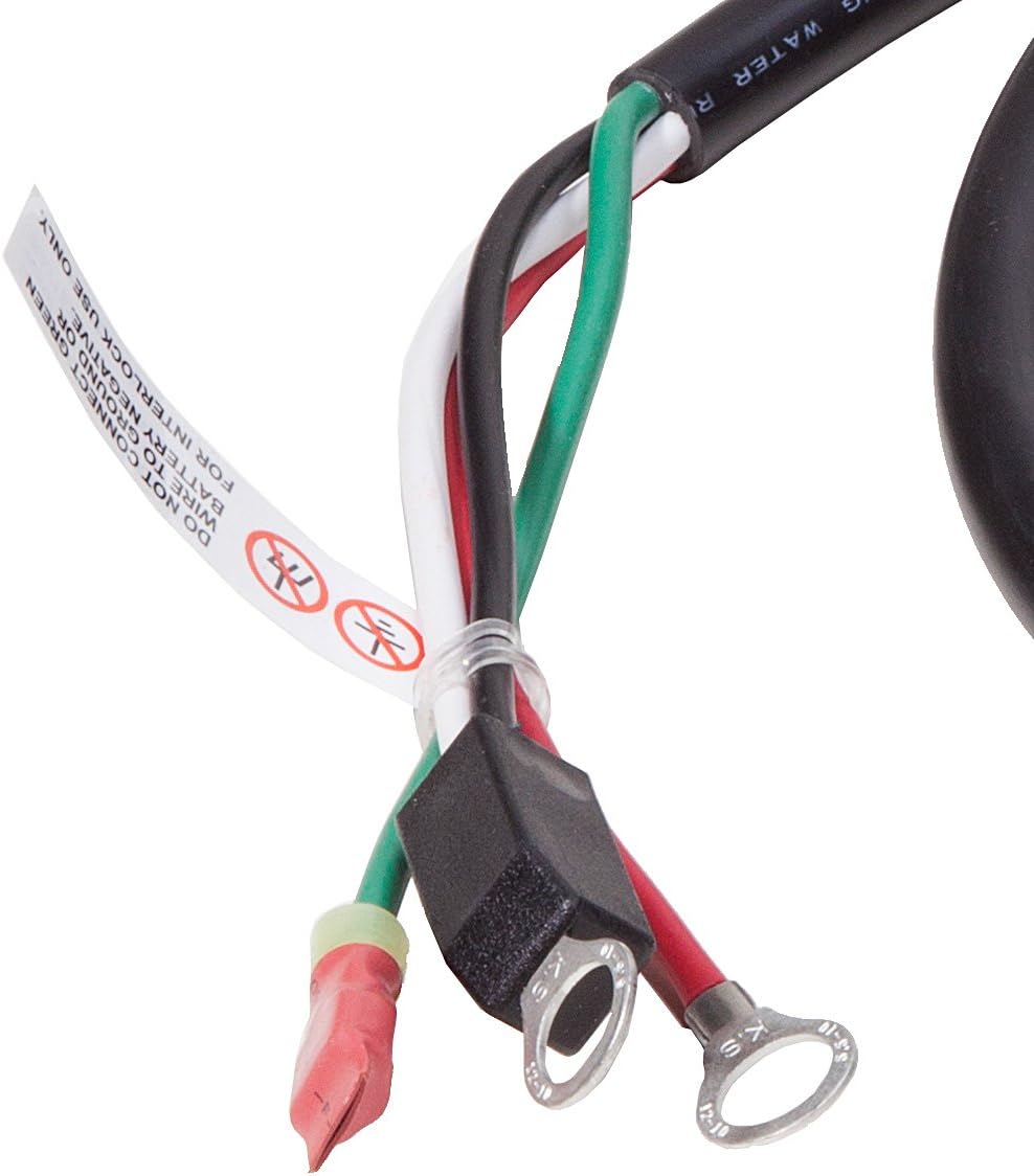 Close-up of Delta-Q QuiQ 912-3600 DC output cables