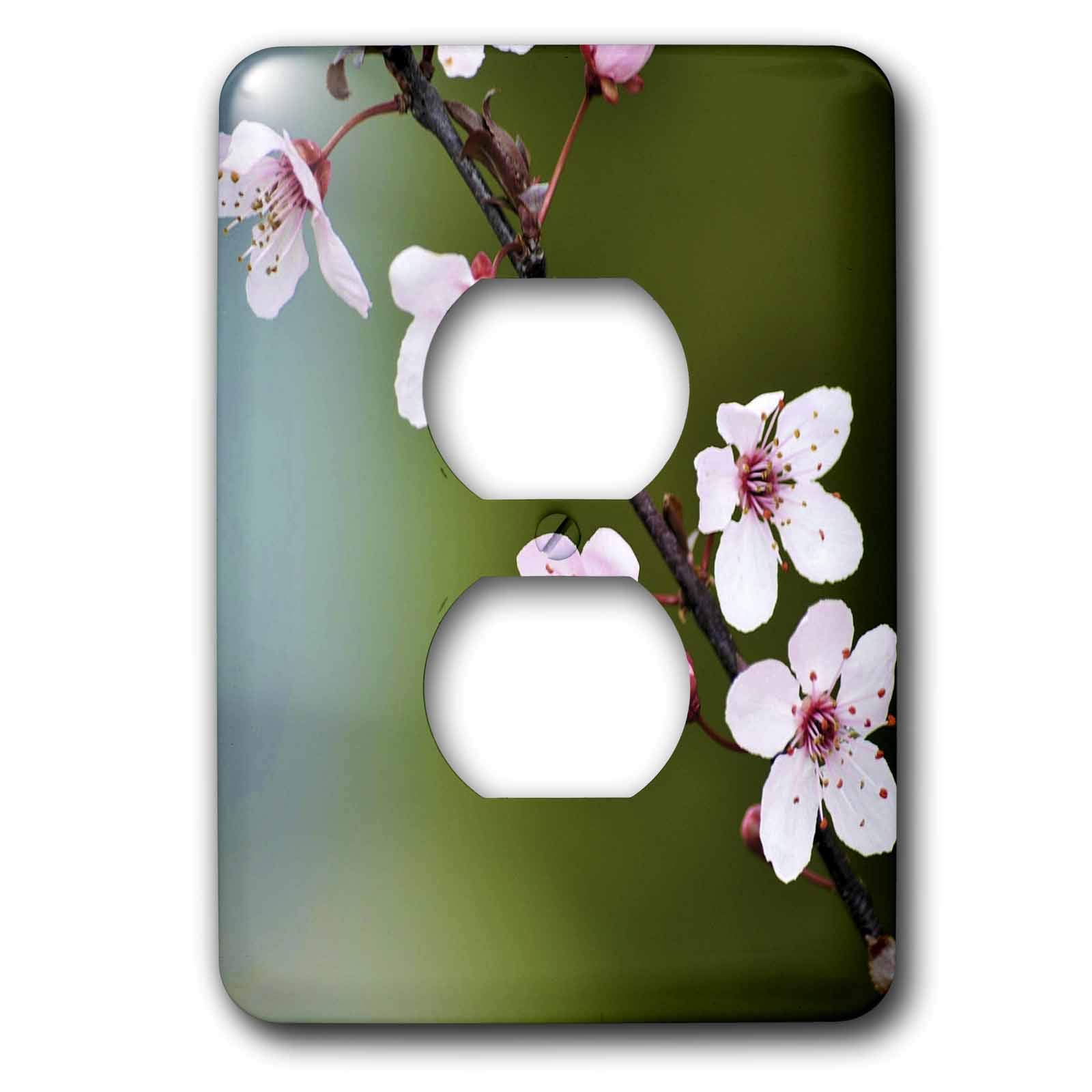 Plaque de finition 3dRose LSP_47730_6 Spring is Here haut de gamme pour interrupteur