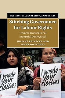 Stitching Governance for Labour Rights (Business, Value Creation, and Society)