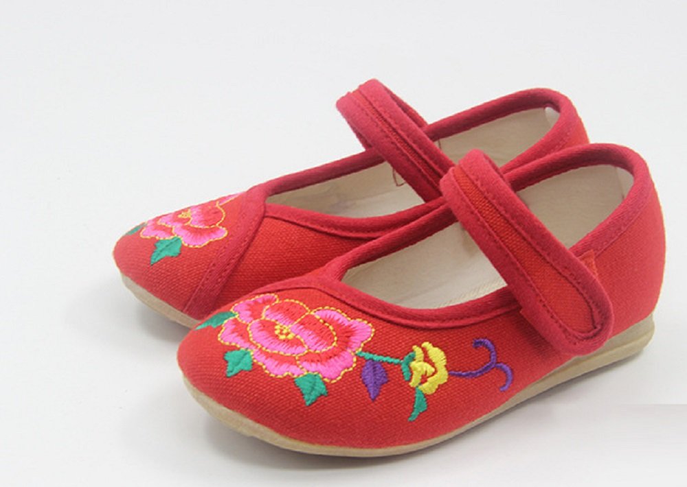 Tianrui Crown Children Girl's Flower Embroidery Loafer Shoes Kid's Cute Flat Dance Shoe