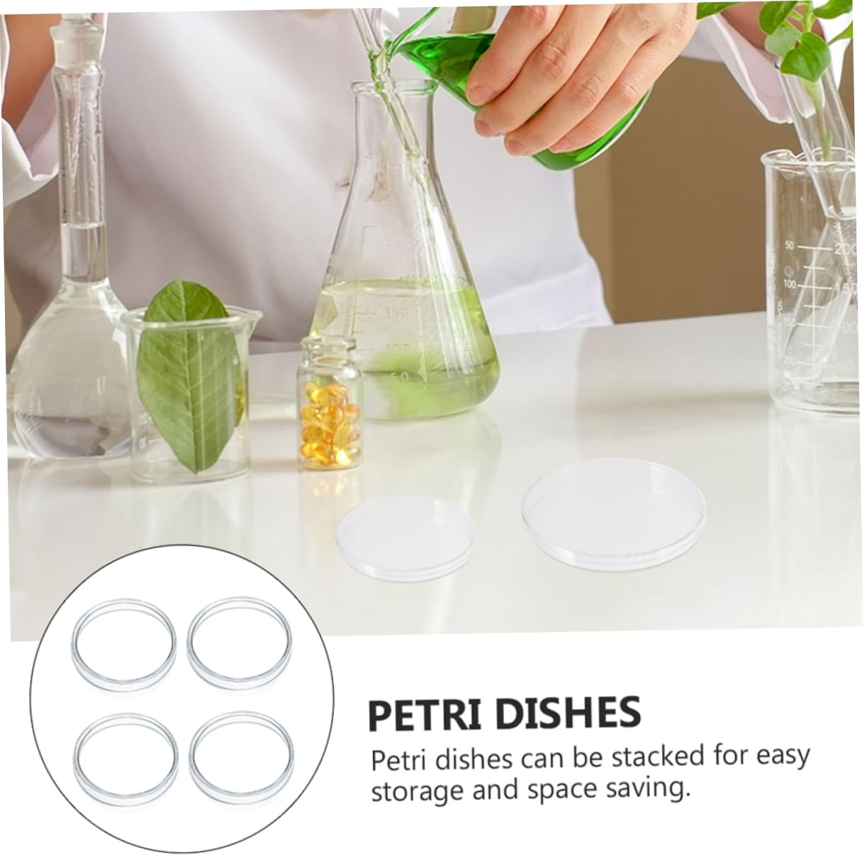 GARVALON 4pcs Petri Dish Petri Plates Laboratory Equipment Science Experiment Glass Transparent