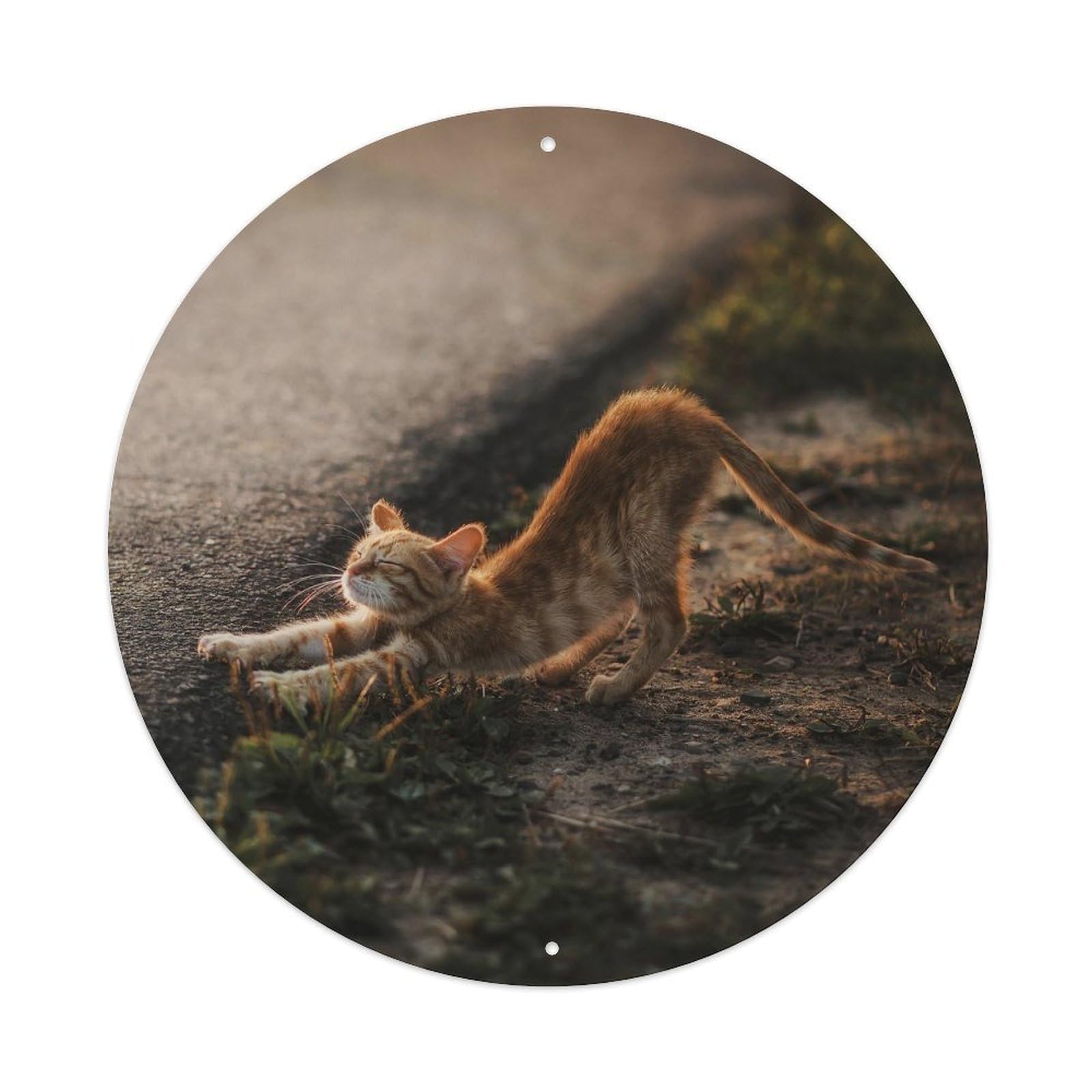 Cwbufd Vintage Style Animal Orange Tabby Cat Stretching In Cozy Golden Hour Light Roadside Scene Vintage Metal Tin Sign Plaque Wall Decor For Cafe, Club Bar, Office, Garden Metal Poster 8X8inch