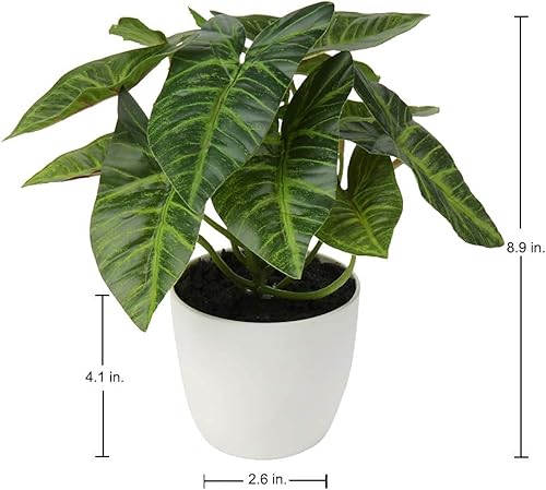 Miniatura 6 de Briful 2 plantas artificiales en maceta de Alocasia, Begonia Calathea, mini plantas falsas en maceta de plástico, pequeñas plantas de imitación de