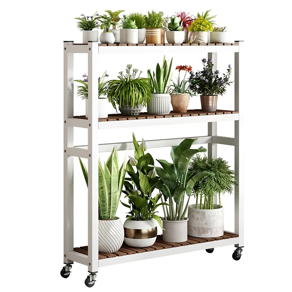 Support à plantes mobile à niveaux pour aménager un salon lumineux