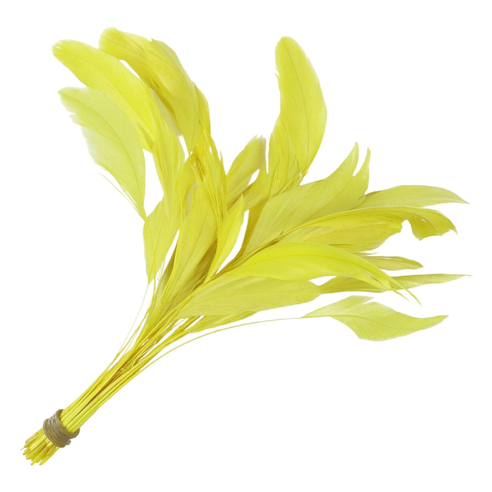NMFLAB 50Pcs Colorful Craft Quills 4-6Inch Natural Craft Quills for Costume Making Home Decoration and Sewing Embellishment