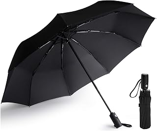 Windproof Umbrella Travel, Folding Umbrella AUTO-Close/Open Lightweight Compact Umbrella with 210T Fast Drying Coating