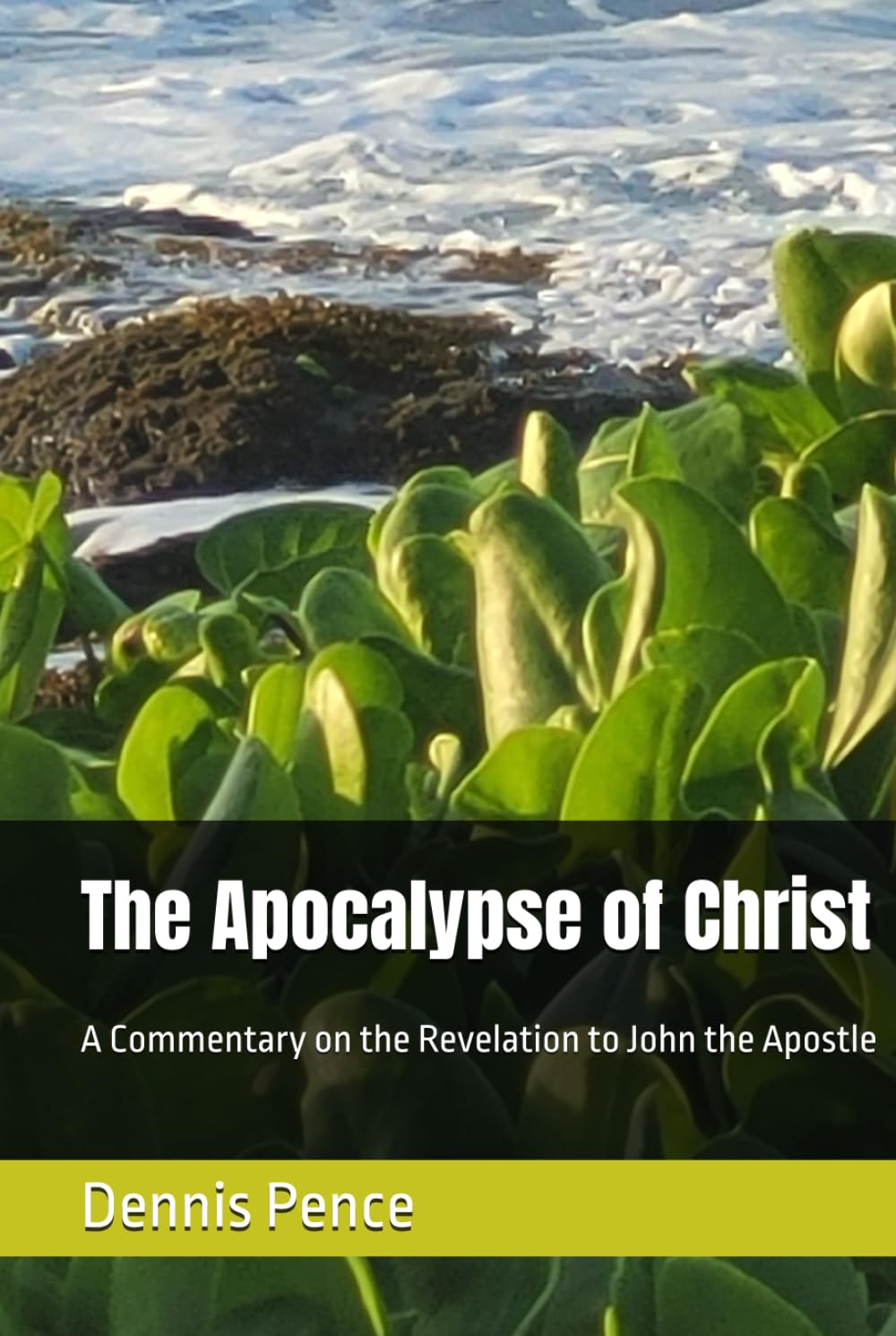 The Apocalypse of Christ: A Commentary on the Revelation to John the Apostle
