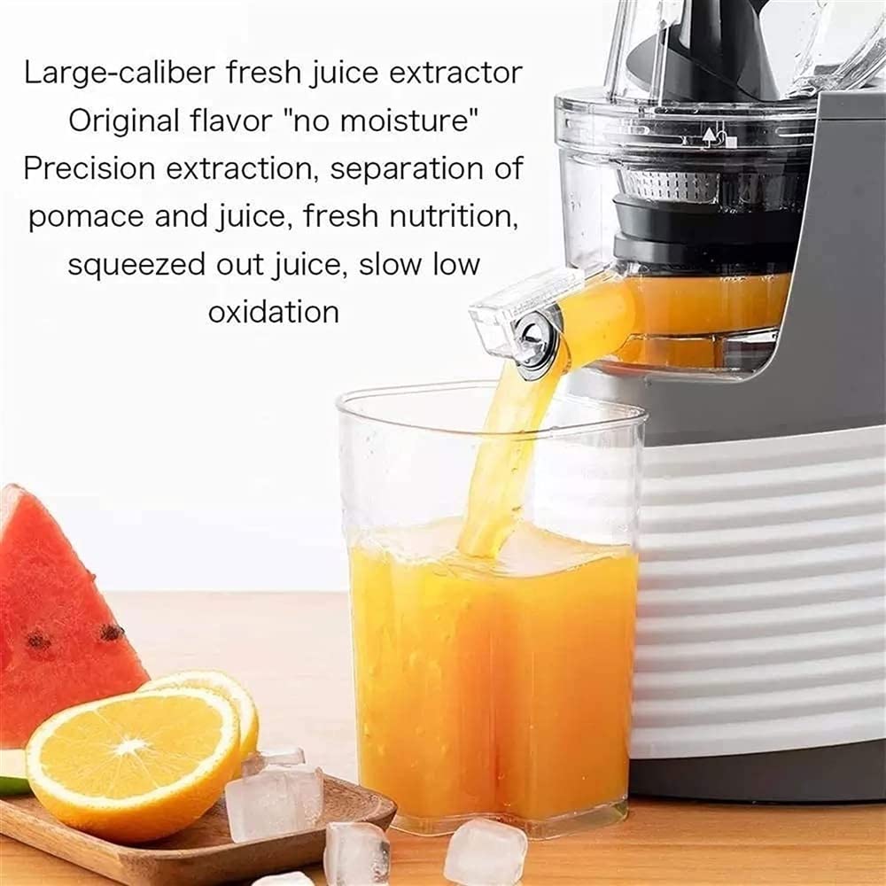 Estrattore di Succo, estrattore Lento Facile da Pulire, estrattore di Succo a Freddo con Funzione inversa per Frutta e Verdura, Senza BPA, Bianco (Dimensioni: 1)