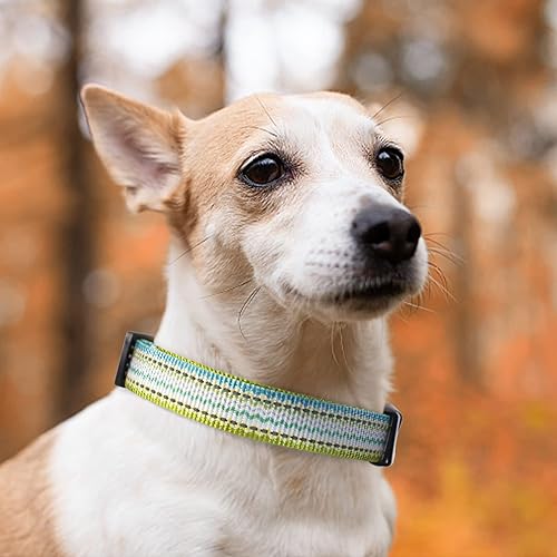 Miniatura 7 de QQPETS Collar reflectante para perro estampado de nailon suave, bonito patrón ajustable para hembras y machos, cachorros, extra pequeños, medianos y