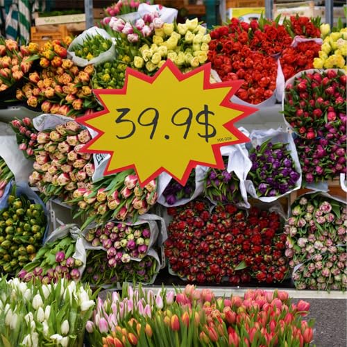 Venta de señalamientos 21 Imagen adicional