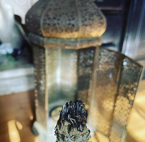 Miniatura 4 de Incienso personalizado con dos manchas de salvia hechas a mano de 4 pulgadas, variedad (incienso)