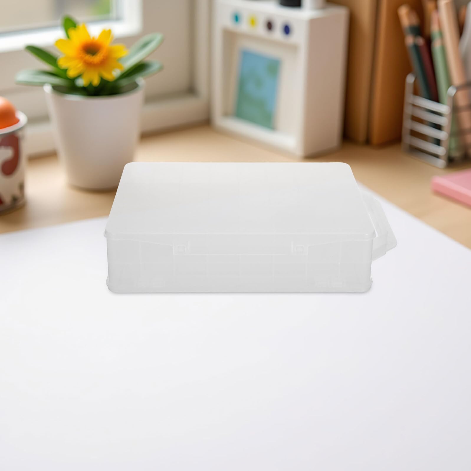 Scatola Portaoggetti Organizer Leggero in Plastica Trasparente Doppio Strato 46 Scomparti per Accessori Piccoli e Attrezzi da Pesca per Casa e Ufficio