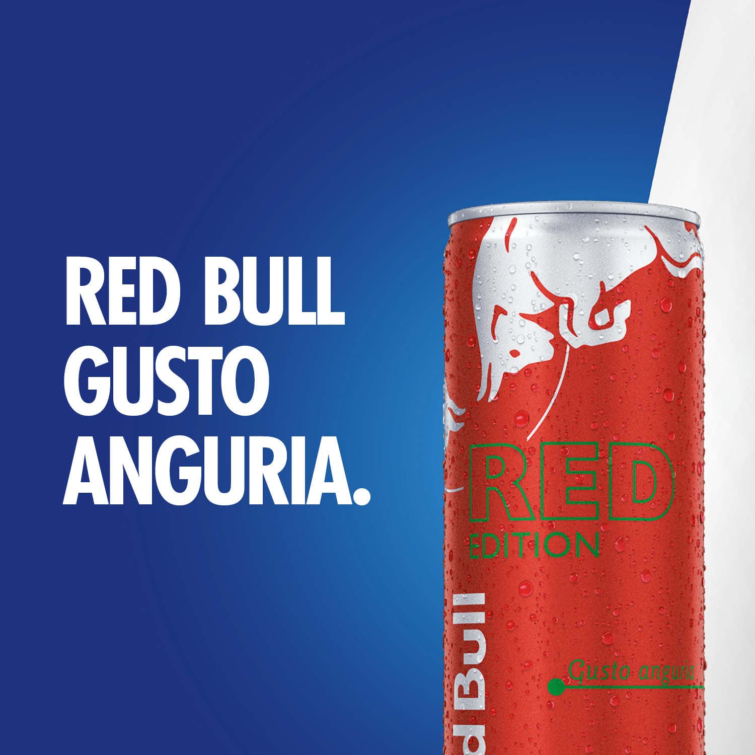 Red Bull Energy Drink, Gusto Anguria, 250 ml (24 Lattine)