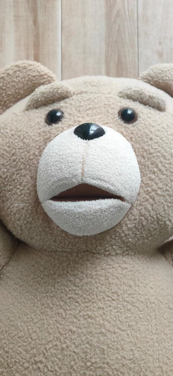 Amazon.co.jp: テッド ted2 BIGぬいぐるみ 特大 サイズ お座り 約40cm 