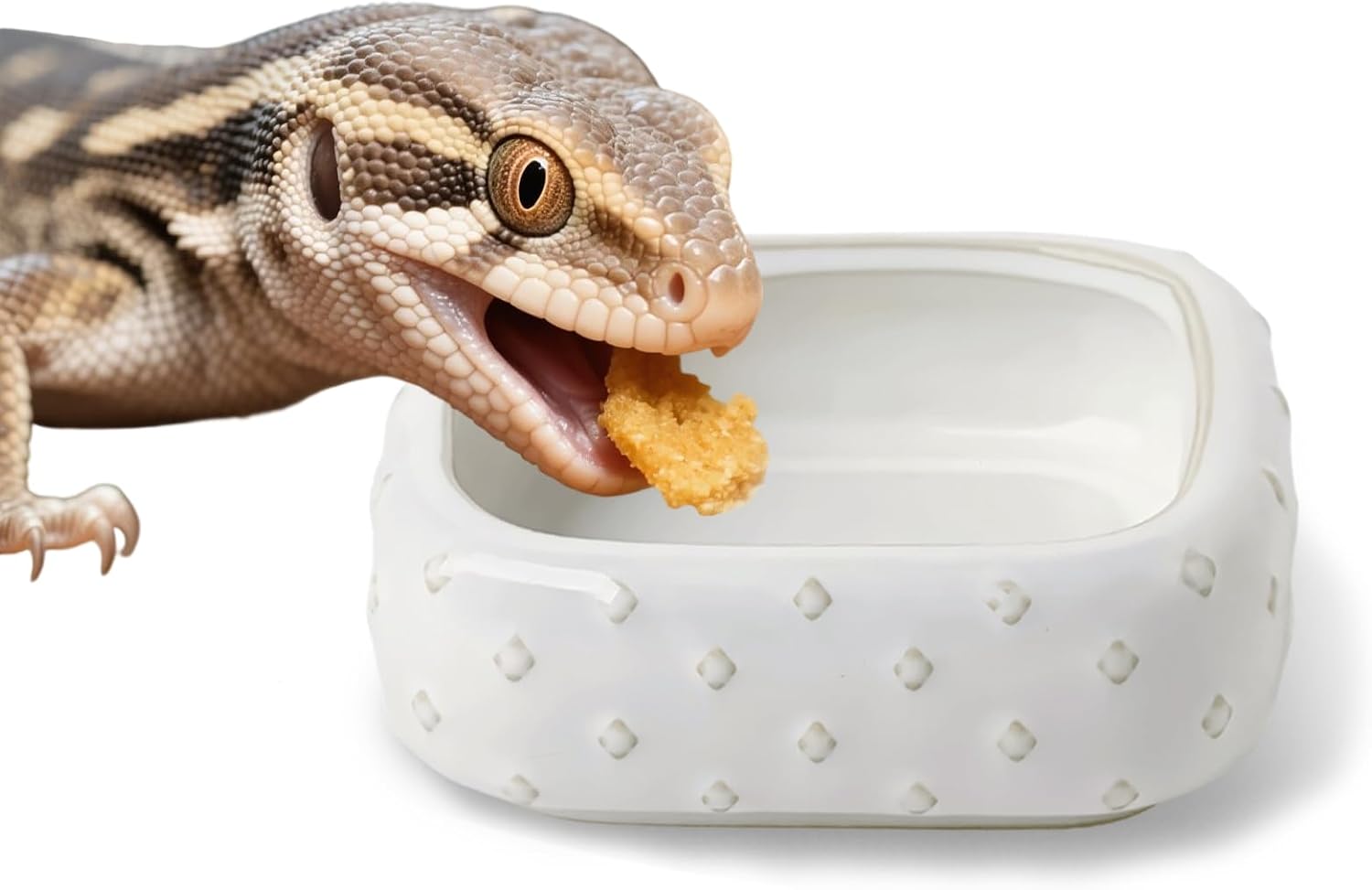 Ceramic Reptile Food Bowl, 5 oz Square Reptile Water Food Feeding Dish, Anti Escape Feeder for Lizard, Anoles, Chameleon, Gecko, Bearded Dragon, Set of 2 (Farmhouse White)