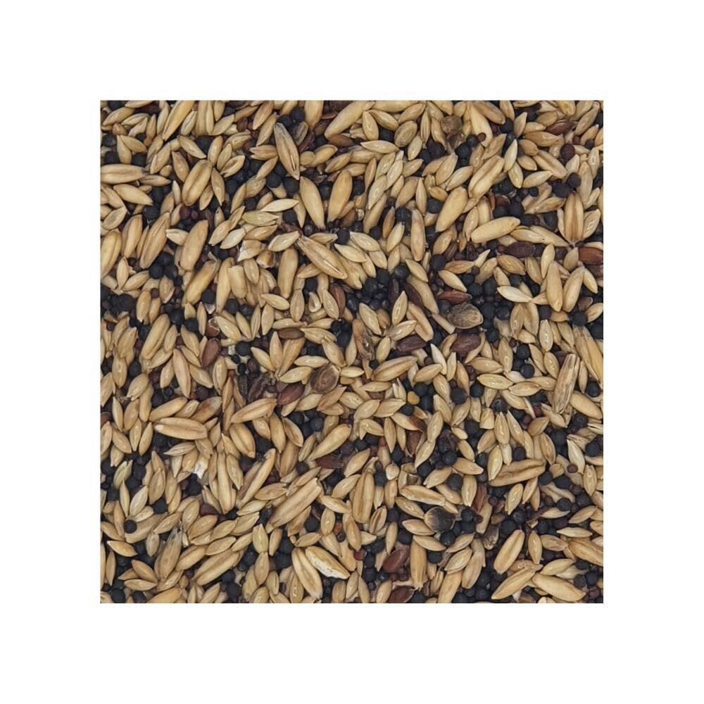 Versele Vogel VL Bird Classic Kanarien 20kg