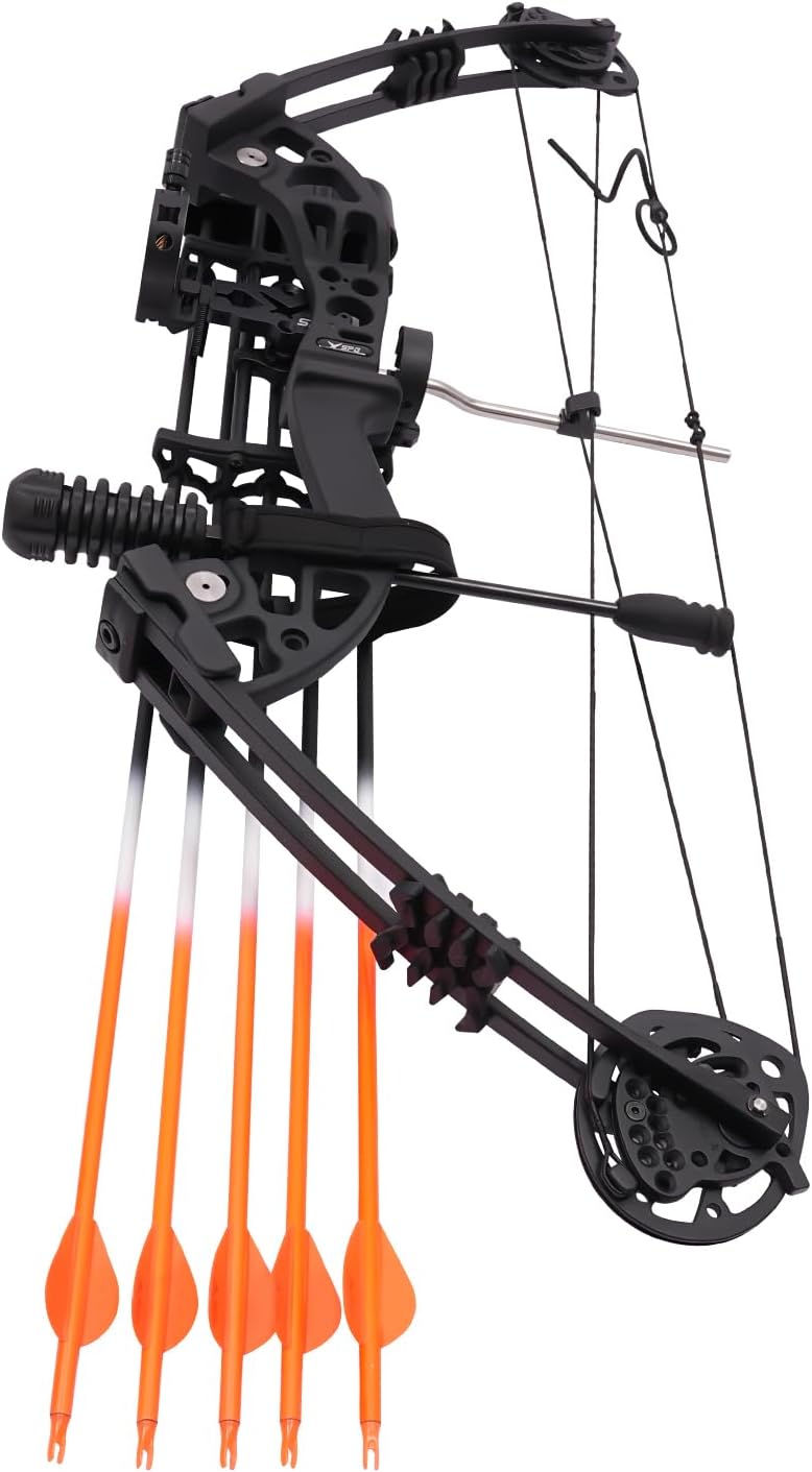 Compound Bow Kit，Archery Compound Bow and 12 Arrow Set, Adjustable Archery Hunting Bow Equipment for Adult, 30-60lbs Draw Weight, Thickened Arm Guard, Carrying Bag, IBO 280-320FPS, Black