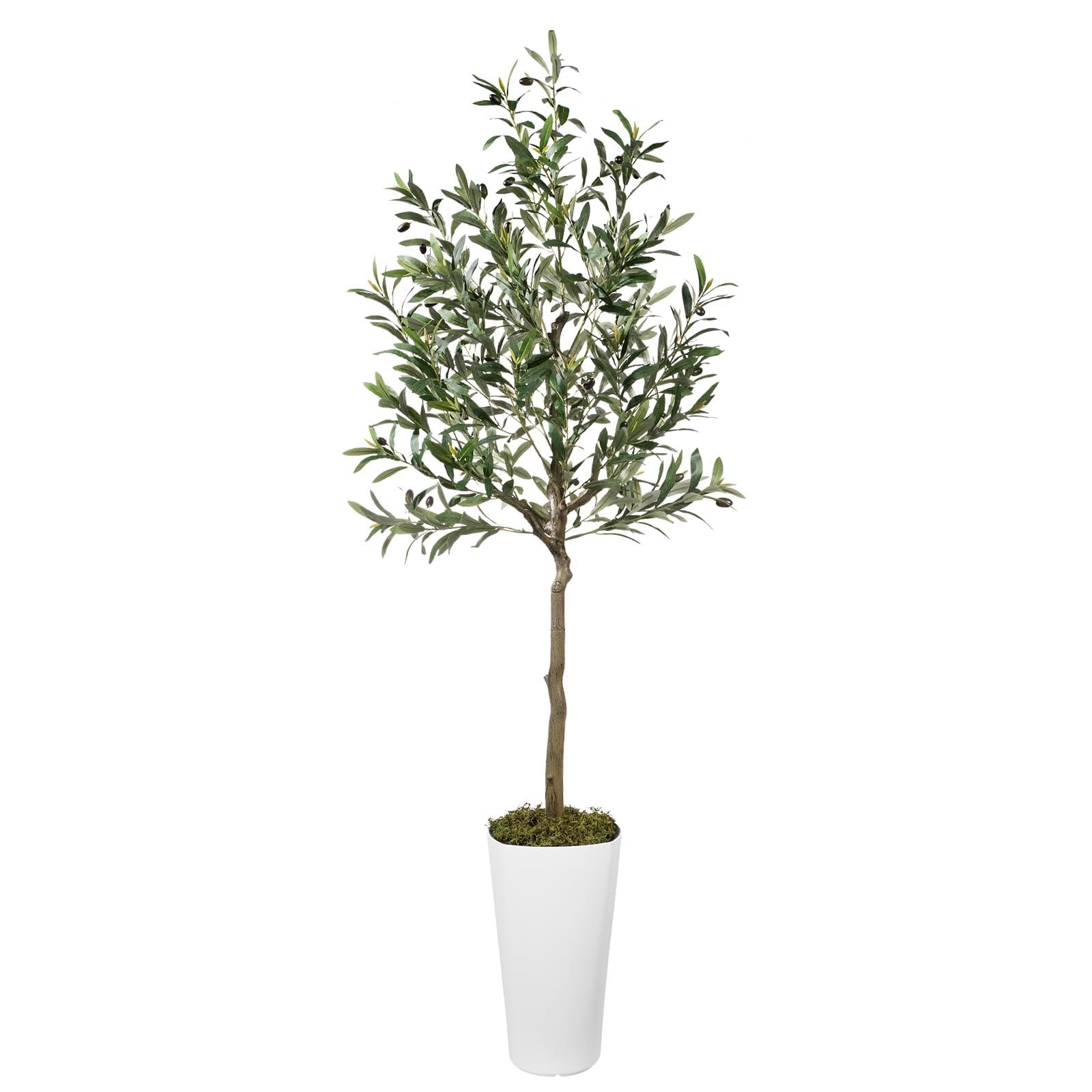 Fake Olive Tree Indoor 6FT Tall Faux Olive Tree with Natural Wood Trunk and Lifelike Fruits Artificial Olive Plant for Home Office Decor - with White Planter and Fake Moss