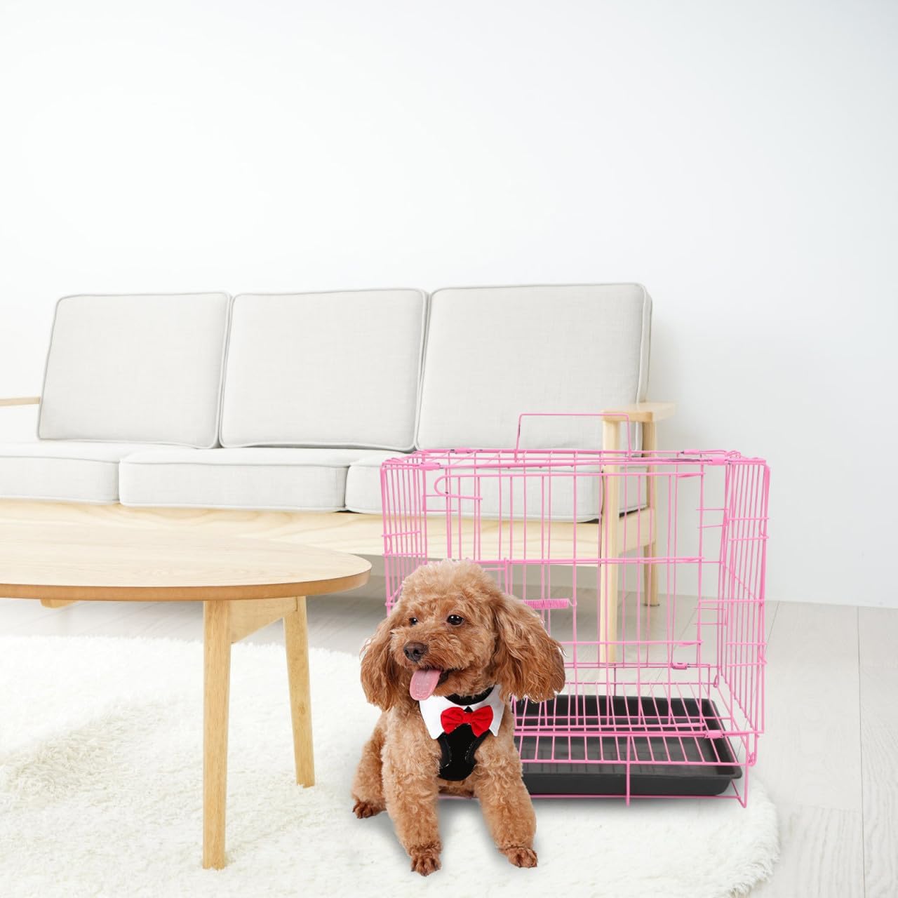 Sturdy Steel Folding Cage Dog Enclosure for Poodle Pet Cages for Cats Compact Pet Crate