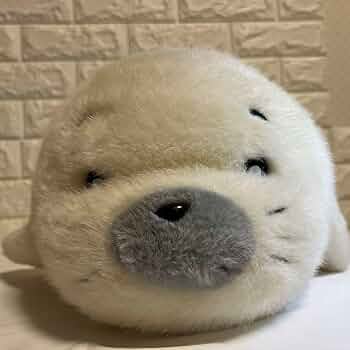 61Msnj5z9tL._AC_UF350,