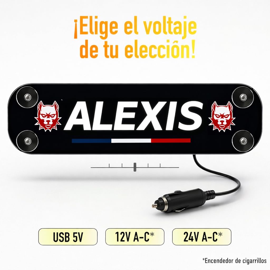 Placa neon personalizado para camión Stick Olivier® - Matriculas personalizadas para camión con iluminación blanca fría con nombre/apodo y logotipos [ Accesorios camion ]