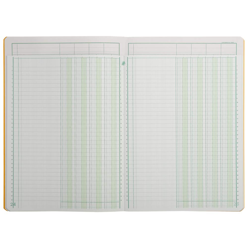 Exacompta 17040E - Libretto a più colonne rilegato con 4 colonne su 1 pagina e 34 righe, 40 fogli A4, 100 g, colori assortiti