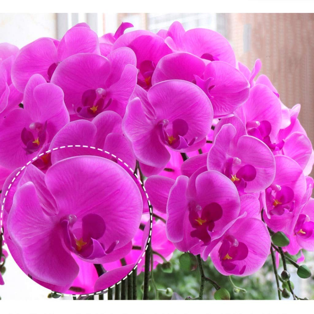 Flor Artificial en Maceta Bonsái de orquídea Artificial con jarrón Flores de orquídeas moradas Falsas Arreglo de Phalaenopsis de PU para decoración de Mesa de Oficina en el hogar Centro de Mesa