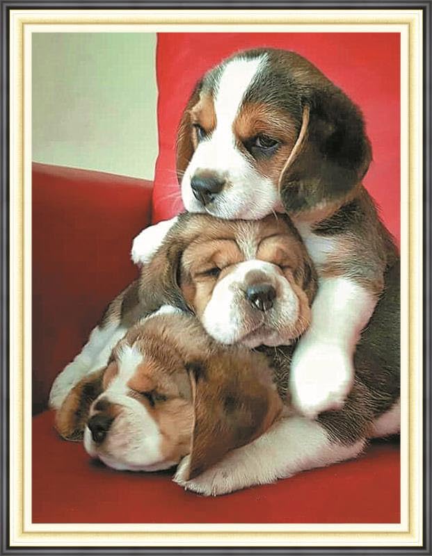 Gofission 11ct スタンプクロスステッチキット 大人用 初心者向け 動物 3匹の犬 DIY プレプリント クロスステッチ 刺繍セット アクセサリー付き 壁の装飾 36x46cm (犬)