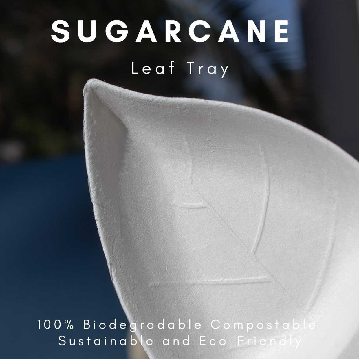 1000ct Tiny Sugarcane Leaf Dish Eco Friendly Disposable Plates | Mini Serving Platter Appetizers | Dessert Party Plates Sustainable Bagasse| Small Plates for Parties, Weddings| CMJJ
