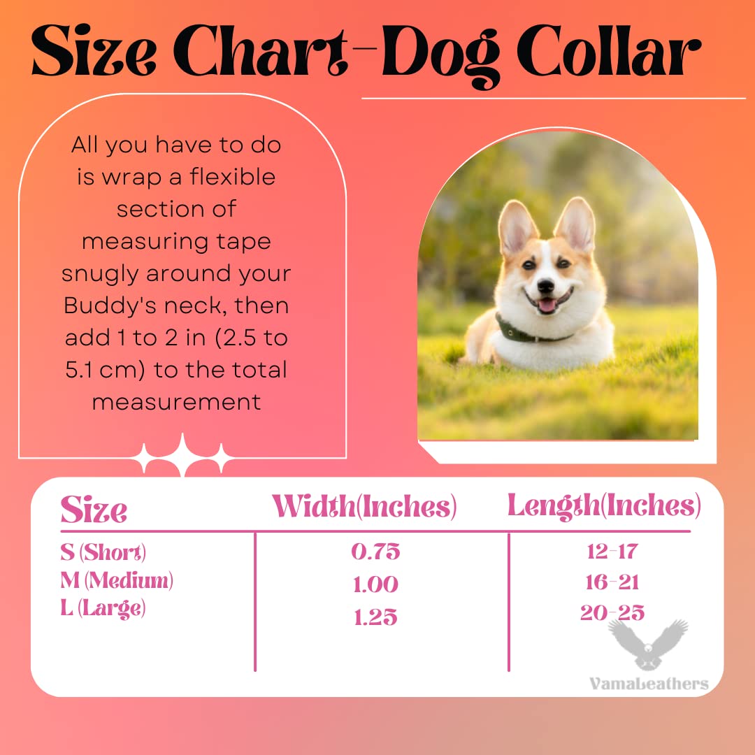 Vama Leathers: Sustainable & Eco Friendly Material Adjustable Dog Collar. 2