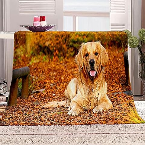 BWBJJ 3D Printed Maple Leaf Golden Retriever 51x59 inch Flannel Microfiber Super Soft Fluffy Warm Bedding Living Room Sofa Office Camping Picnic Blanket Cover