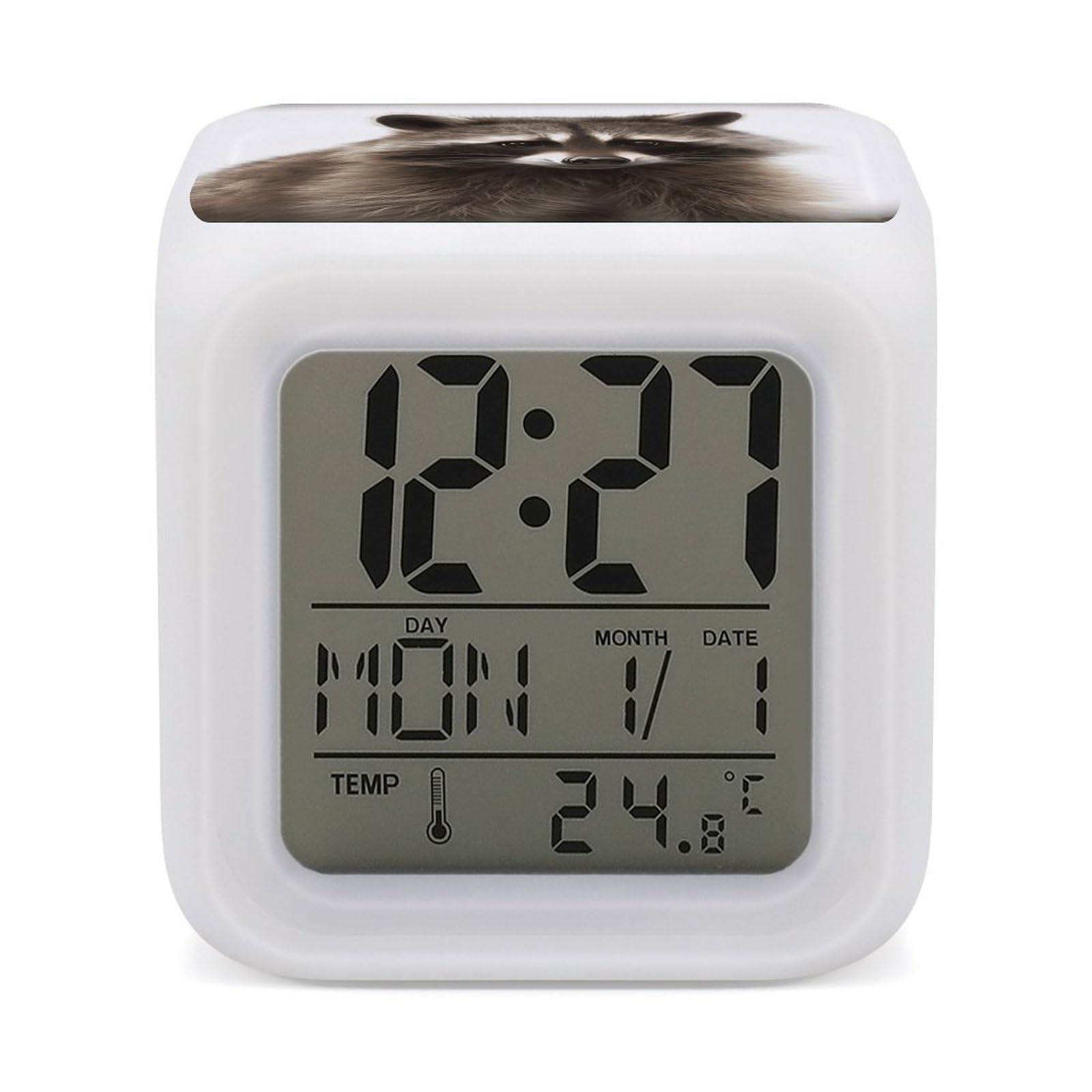 VstaDank Hairy Raccoon Alarm Clocks with 7 Color Changing Night Light Exquisite Bedroom Digital Clocks with LED Temperature Display Desk Clock Ok to Wake Clocks for Heavy Sleeper