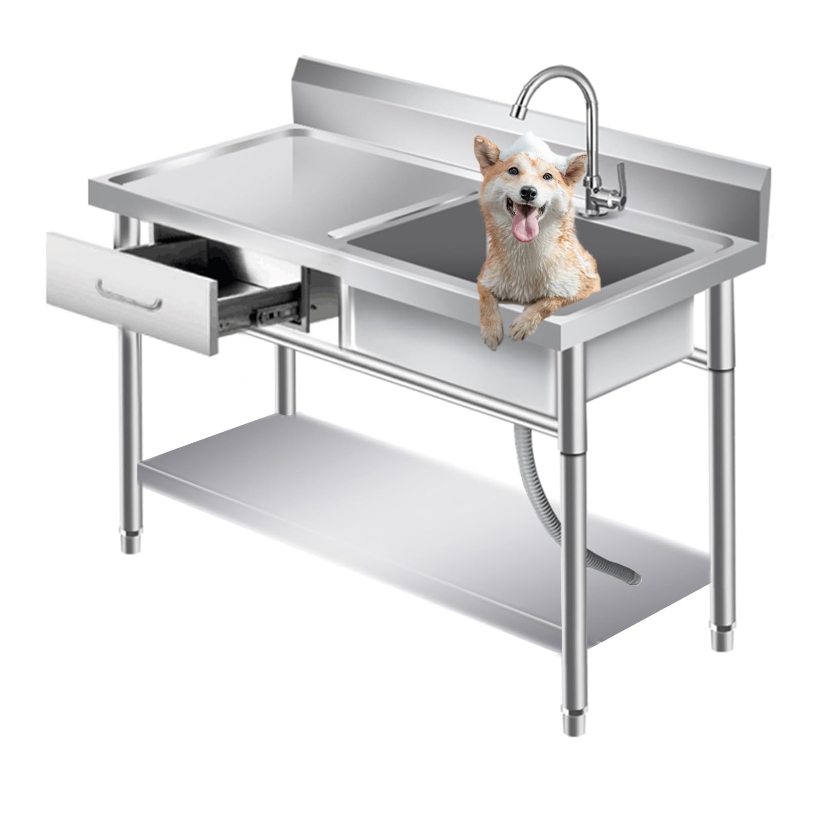 Évier animal de compagnie extérieur pour laver votre chien