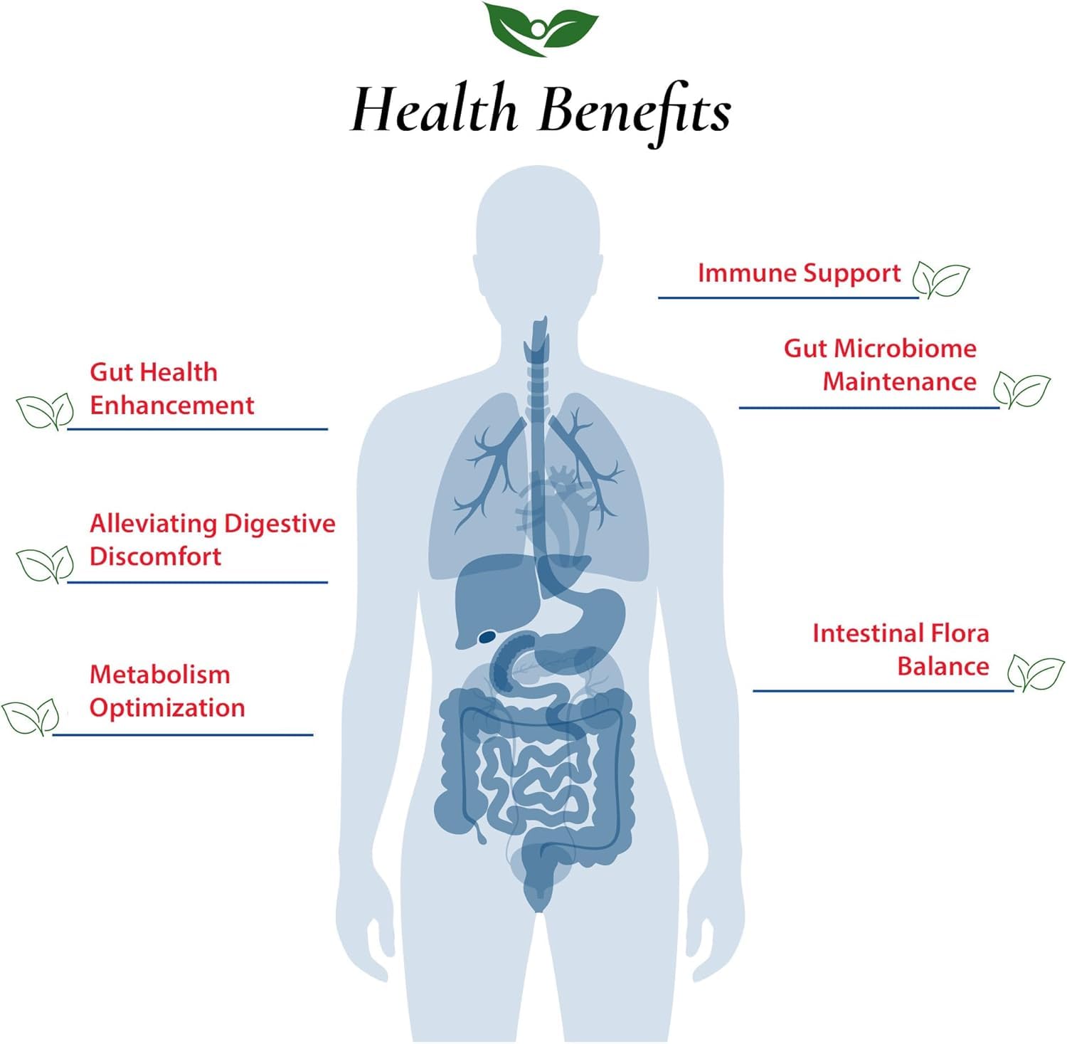Foods For Gut Bifidobacterium Lactis Probiotic Powder 500 Billion cfu's | Made in USA | No Additives | Digestive & Immune Support | High Potency | B. Lactis | 30 Grams (1.05 Oz)