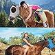 Fliegenmaske Pferd 2 Stück Fliegenmaske Mit Ohrenschutz Elastische Bremsenmaske UV-Schutz Fliegenmaske Pony Fliegenmaske Horse Für Pferde Atmungsaktive Feine Mesh (Grau, Blau)