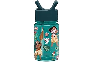 Simple Modern Moana Toys Kids Water Bottle