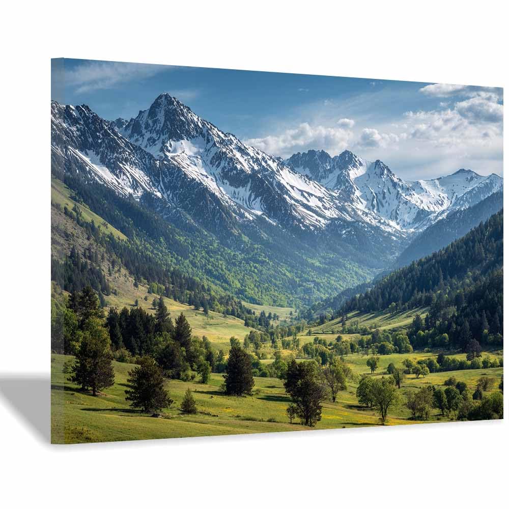HUYEEI Canvas Print Wall Art Snows Valley Modern Nature Landscape Poster, for living room, bedroom,Corridor Office Room Decoretc.(green)-60x80cm Framed