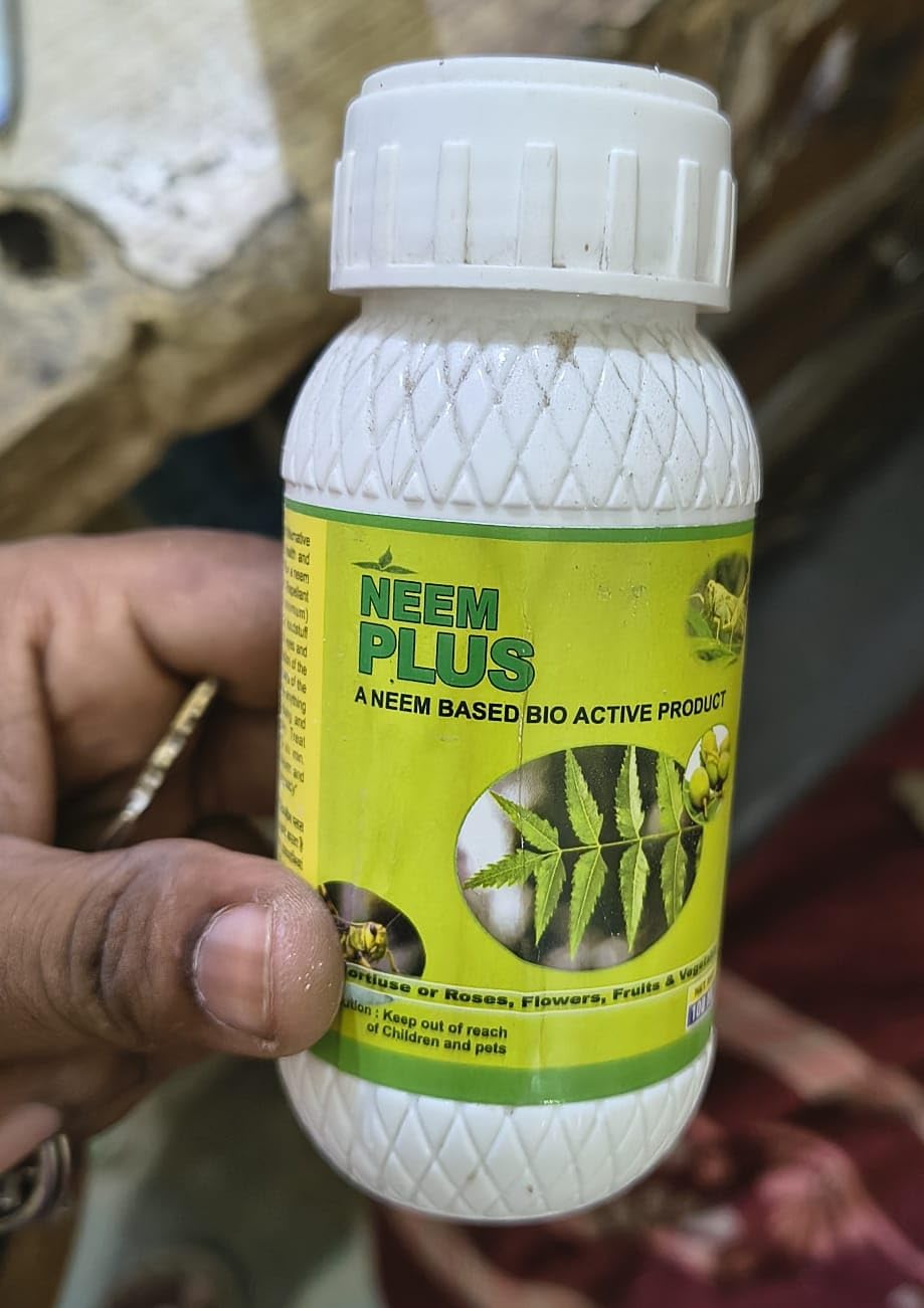 occident neem plus oil spray (pack of 1) for plants remove mealy bugs, plant fungus, plants insects plant pest control safe for indoor & outdoor gardening plant care (1)